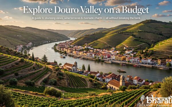 Peso da Régua Special Tour Guide: Explore Portugal’s Douro Valley on a Budget
